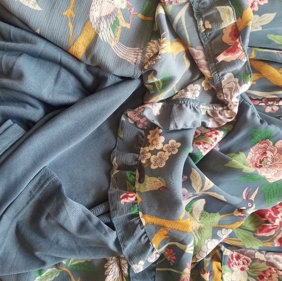 NWT GP&J BakerxH&M chiffon prairie maxi dress - Picture 8 of 10